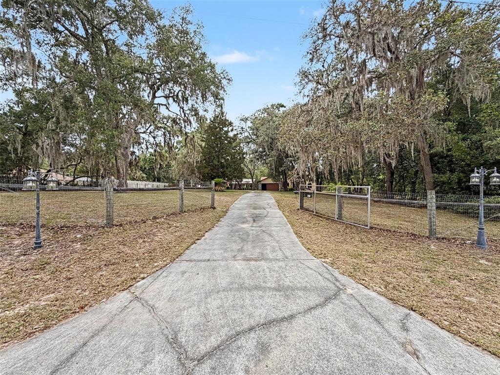 7111 Ricker Avenue Webster, FL 33597 - Photo 39 of 41 a view of backyard with green space
