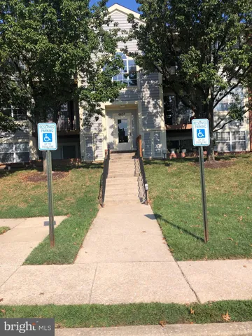 a park with large trees