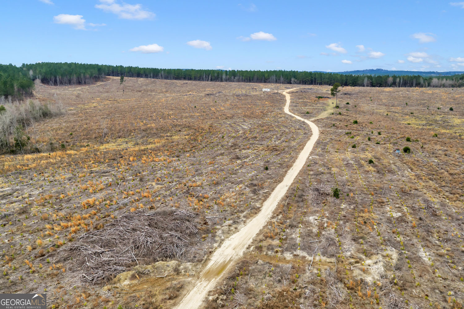 Truslow Central Durham Mill Road Jeffersonville, GA 31044 - Photo 11 of 49