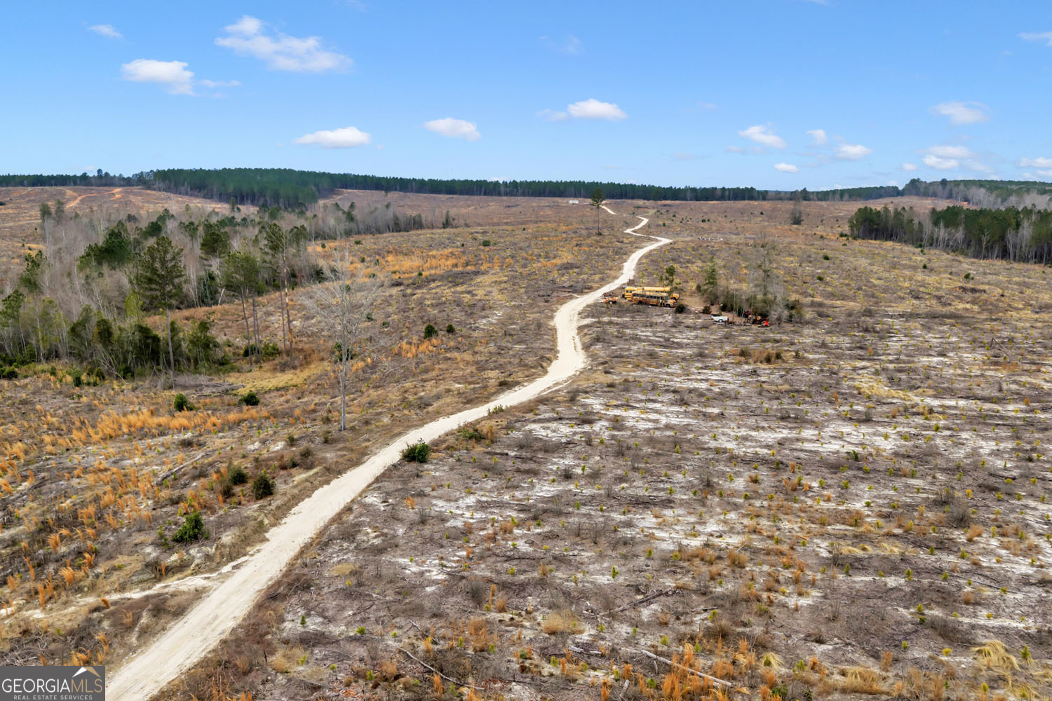 Truslow Central Durham Mill Road Jeffersonville, GA 31044 - Photo 12 of 49