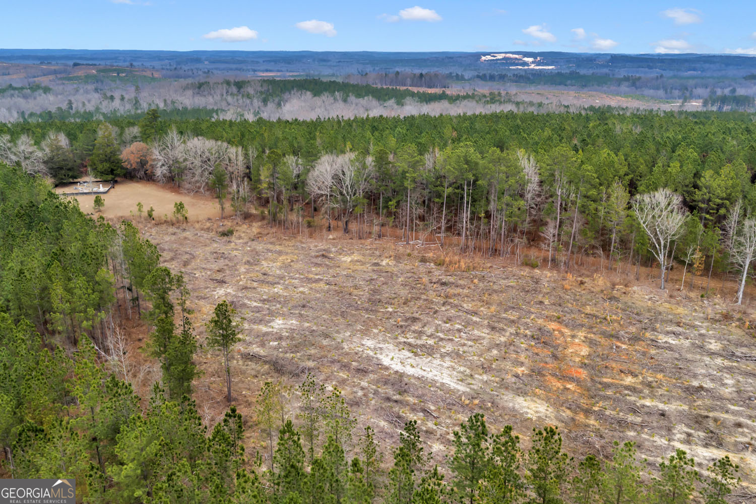 Truslow Central Durham Mill Road Jeffersonville, GA 31044 - Photo 13 of 49