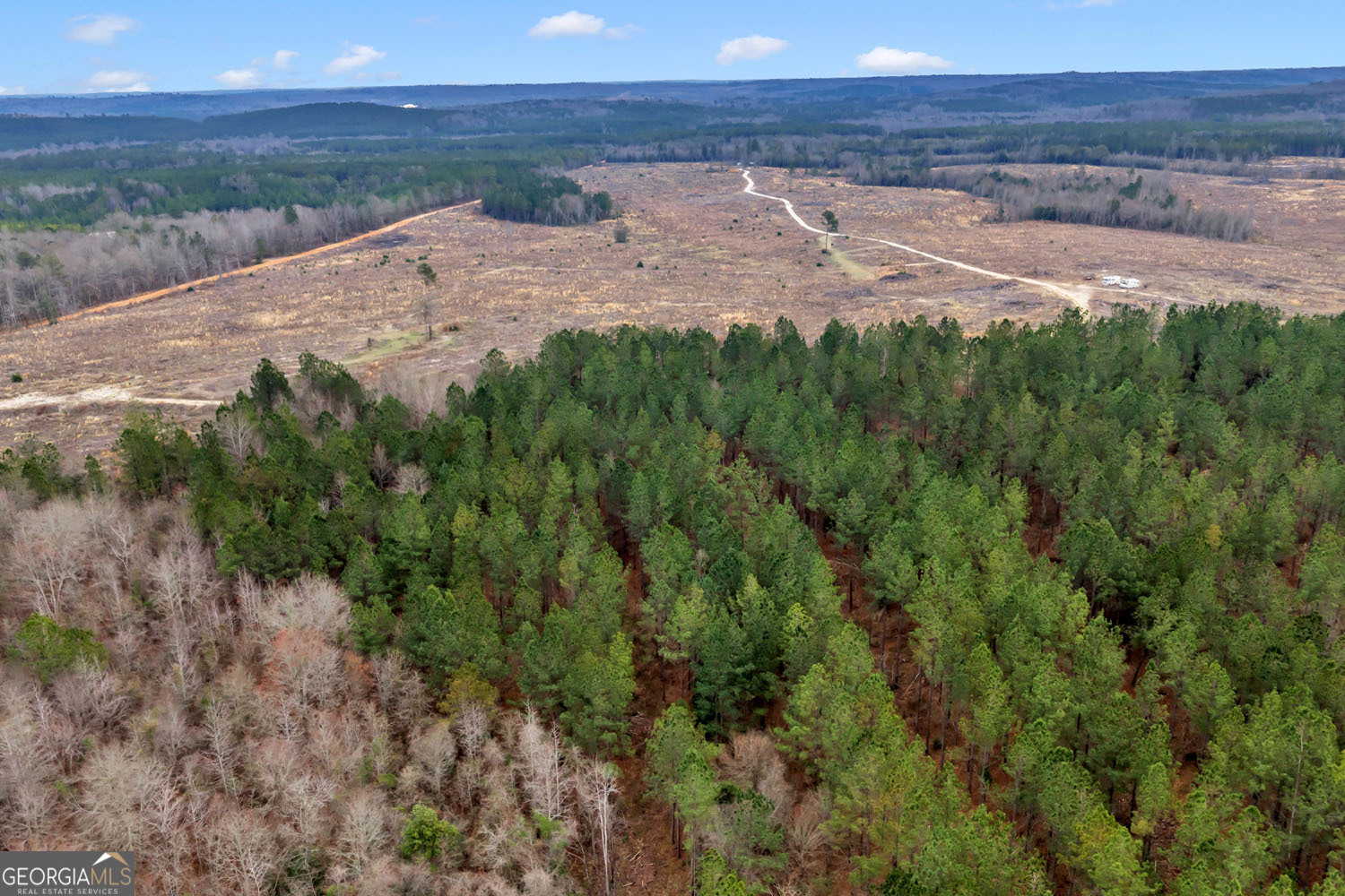 Truslow Central Durham Mill Road Jeffersonville, GA 31044 - Photo 14 of 49