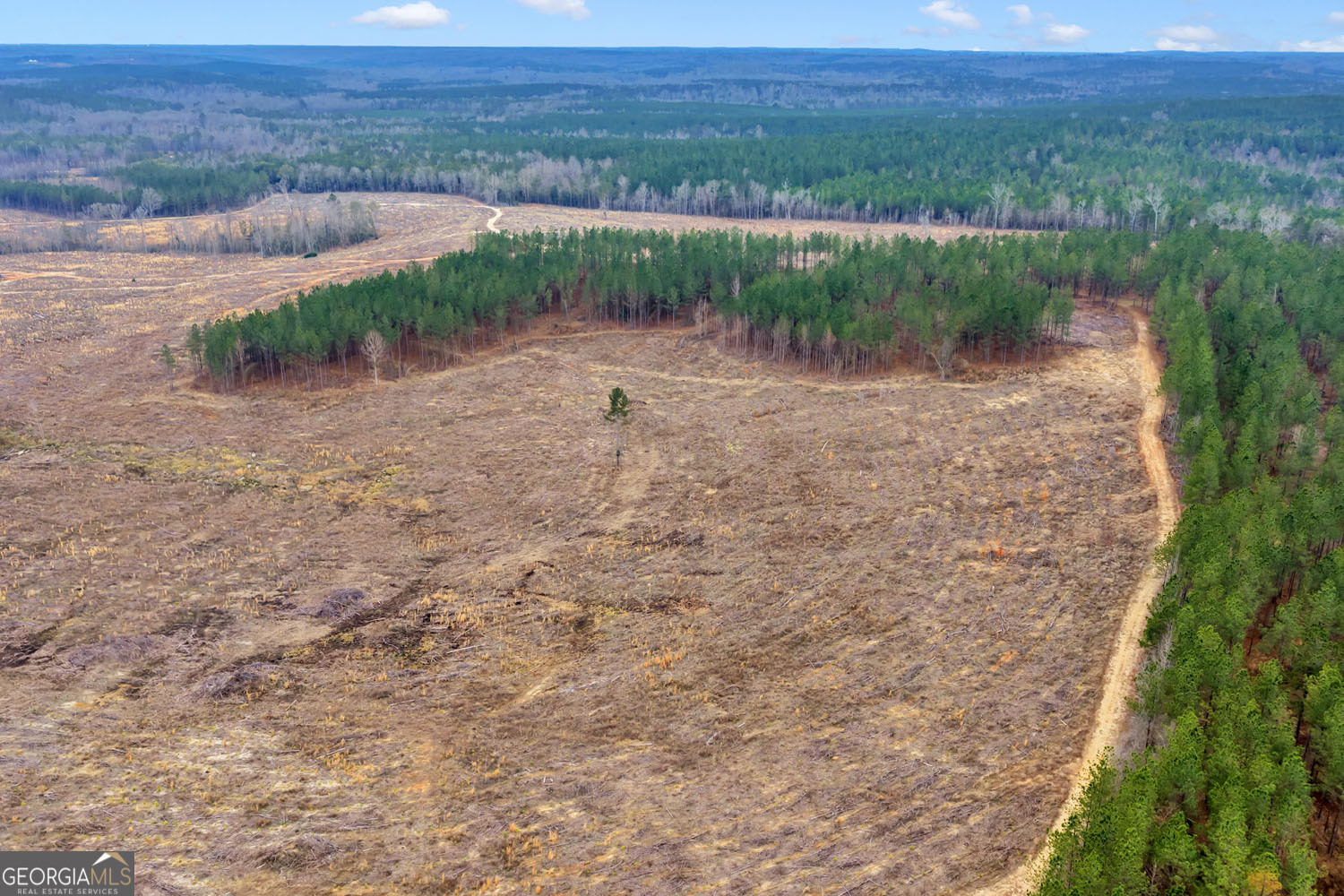 Truslow Central Durham Mill Road Jeffersonville, GA 31044 - Photo 16 of 49