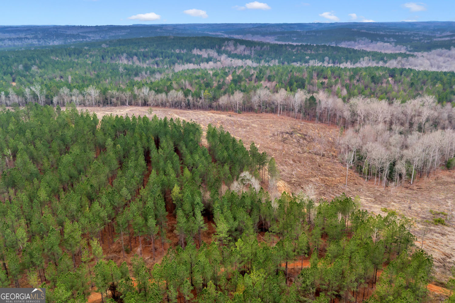 Truslow Central Durham Mill Road Jeffersonville, GA 31044 - Photo 17 of 49