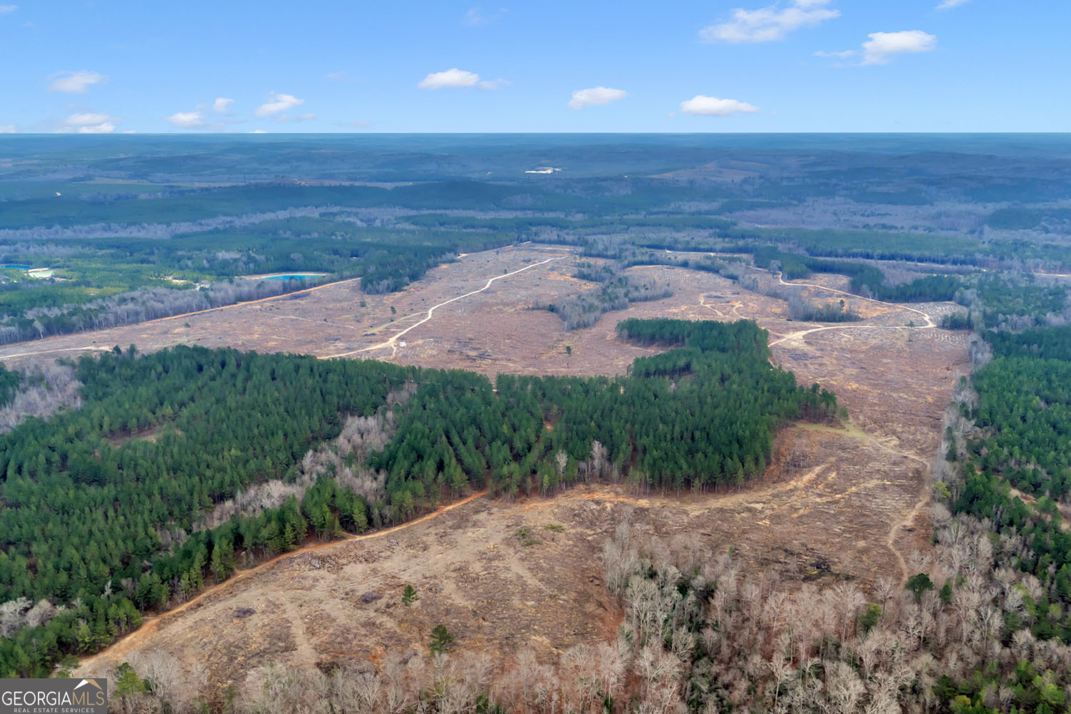 Truslow Central Durham Mill Road Jeffersonville, GA 31044 - Photo 19 of 49