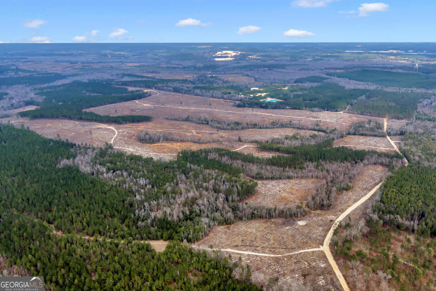 Truslow Central Durham Mill Road Jeffersonville, GA 31044 - Photo 21 of 49