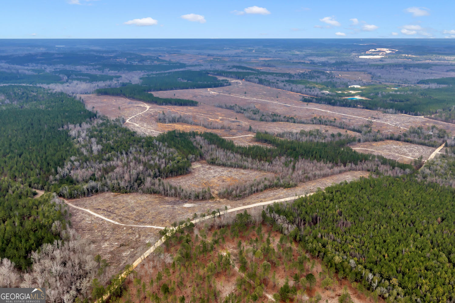 Truslow Central Durham Mill Road Jeffersonville, GA 31044 - Photo 22 of 49