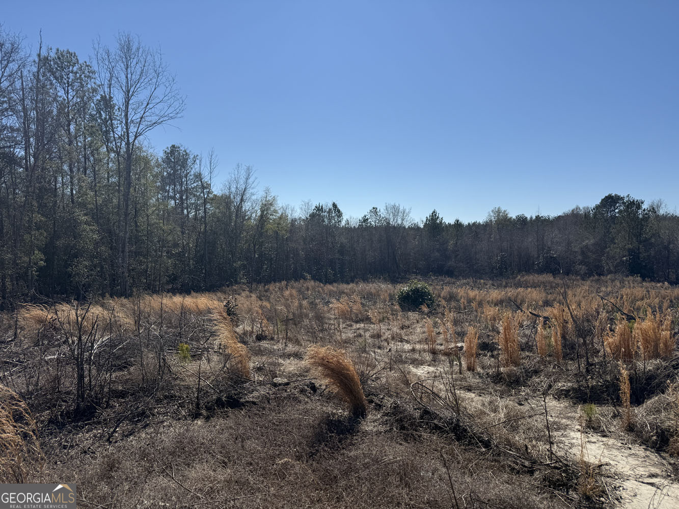 Truslow Central Durham Mill Road Jeffersonville, GA 31044 - Photo 25 of 49