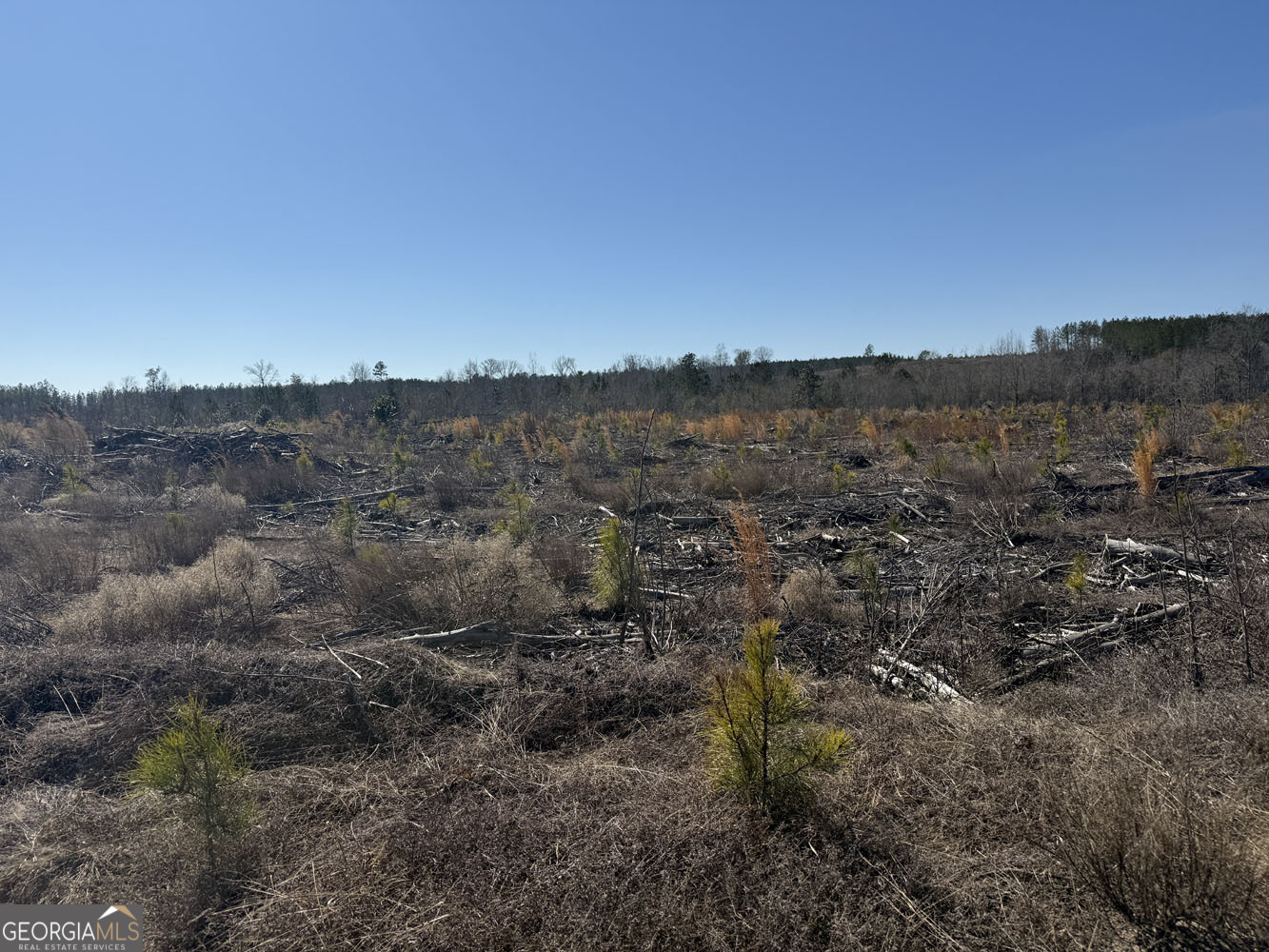 Truslow Central Durham Mill Road Jeffersonville, GA 31044 - Photo 26 of 49