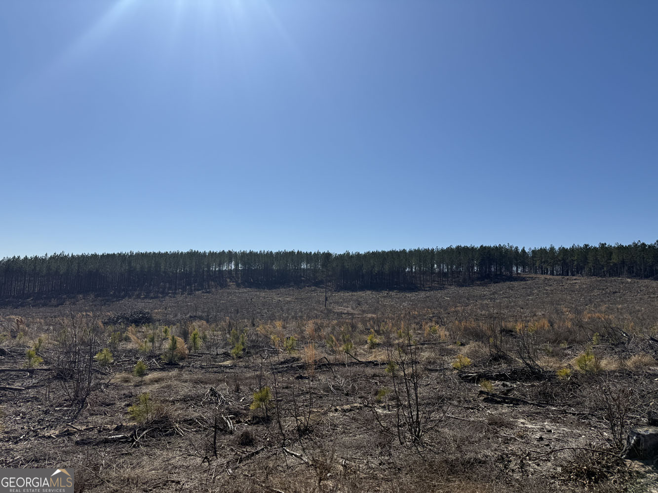 Truslow Central Durham Mill Road Jeffersonville, GA 31044 - Photo 27 of 49