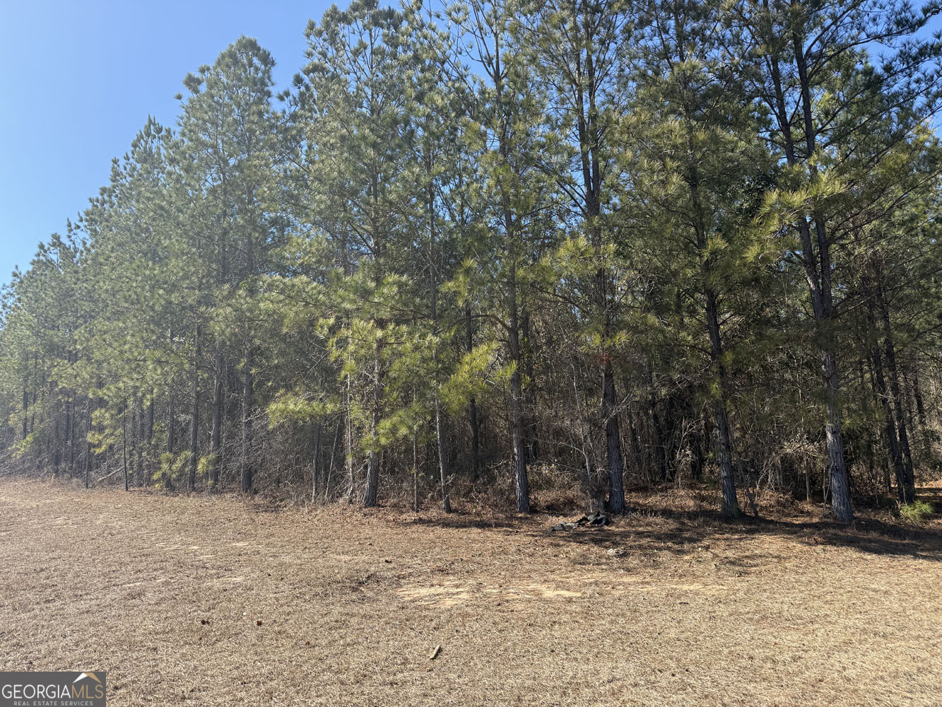 Truslow Central Durham Mill Road Jeffersonville, GA 31044 - Photo 28 of 49