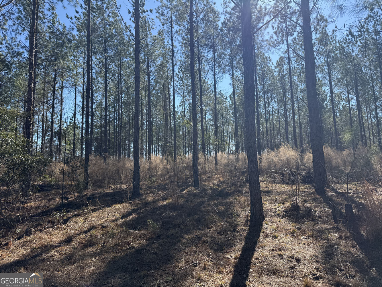 Truslow Central Durham Mill Road Jeffersonville, GA 31044 - Photo 29 of 49