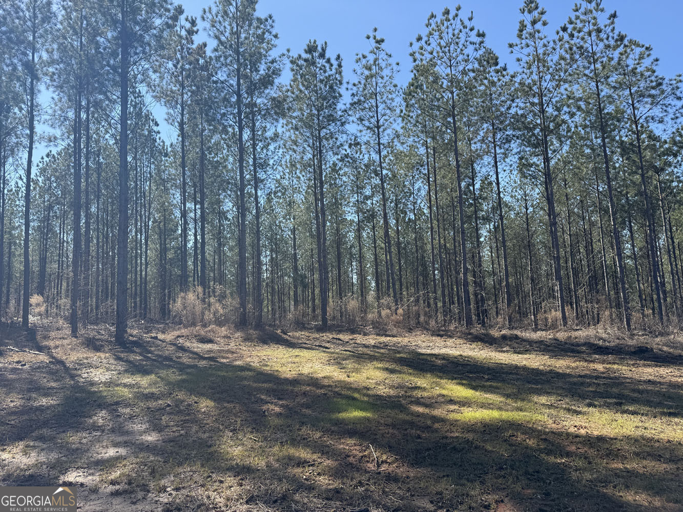 Truslow Central Durham Mill Road Jeffersonville, GA 31044 - Photo 30 of 49