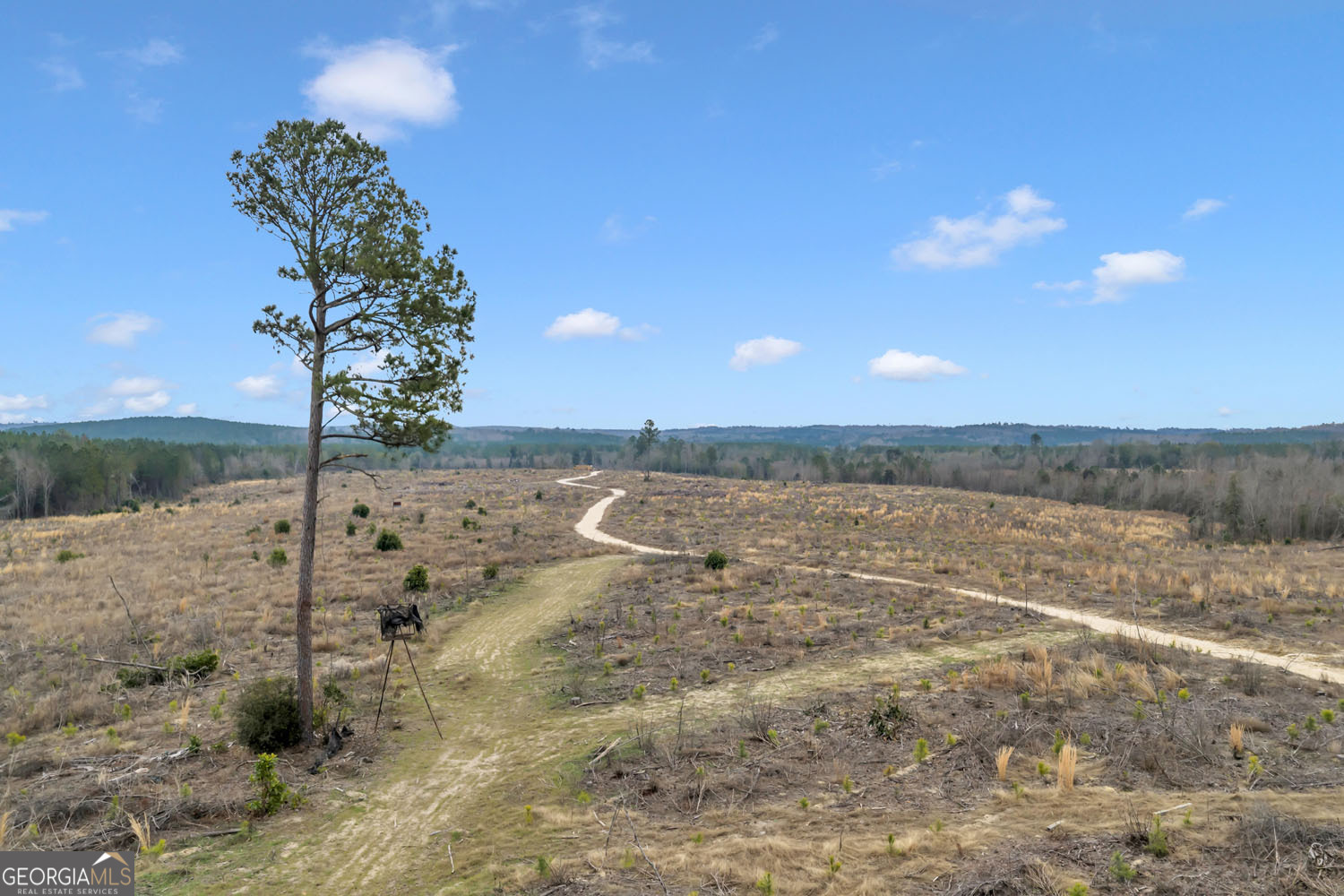 Truslow Central Durham Mill Road Jeffersonville, GA 31044 - Photo 3 of 49