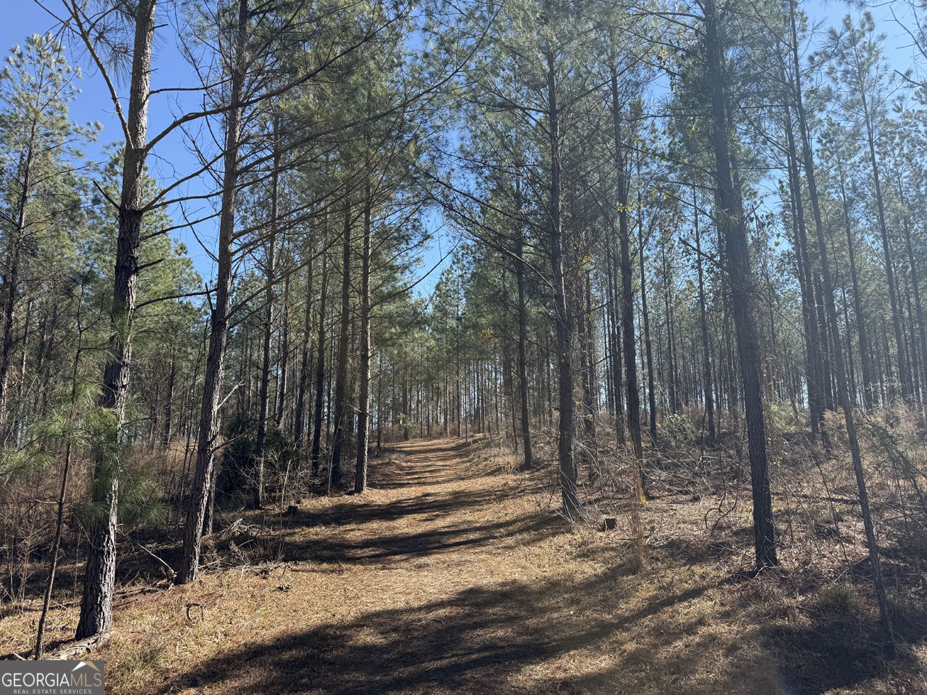 Truslow Central Durham Mill Road Jeffersonville, GA 31044 - Photo 31 of 49