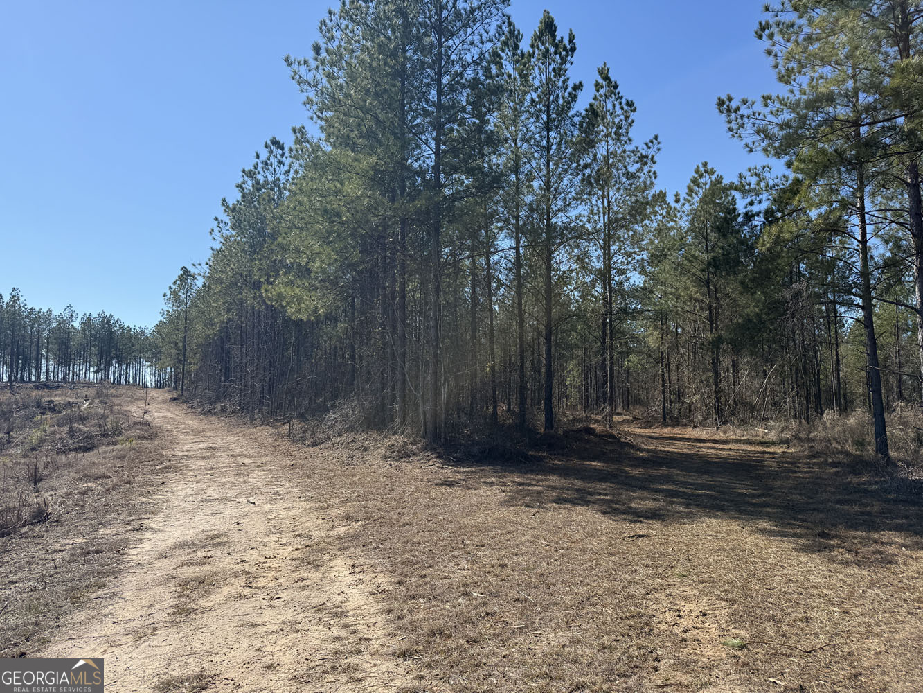 Truslow Central Durham Mill Road Jeffersonville, GA 31044 - Photo 32 of 49