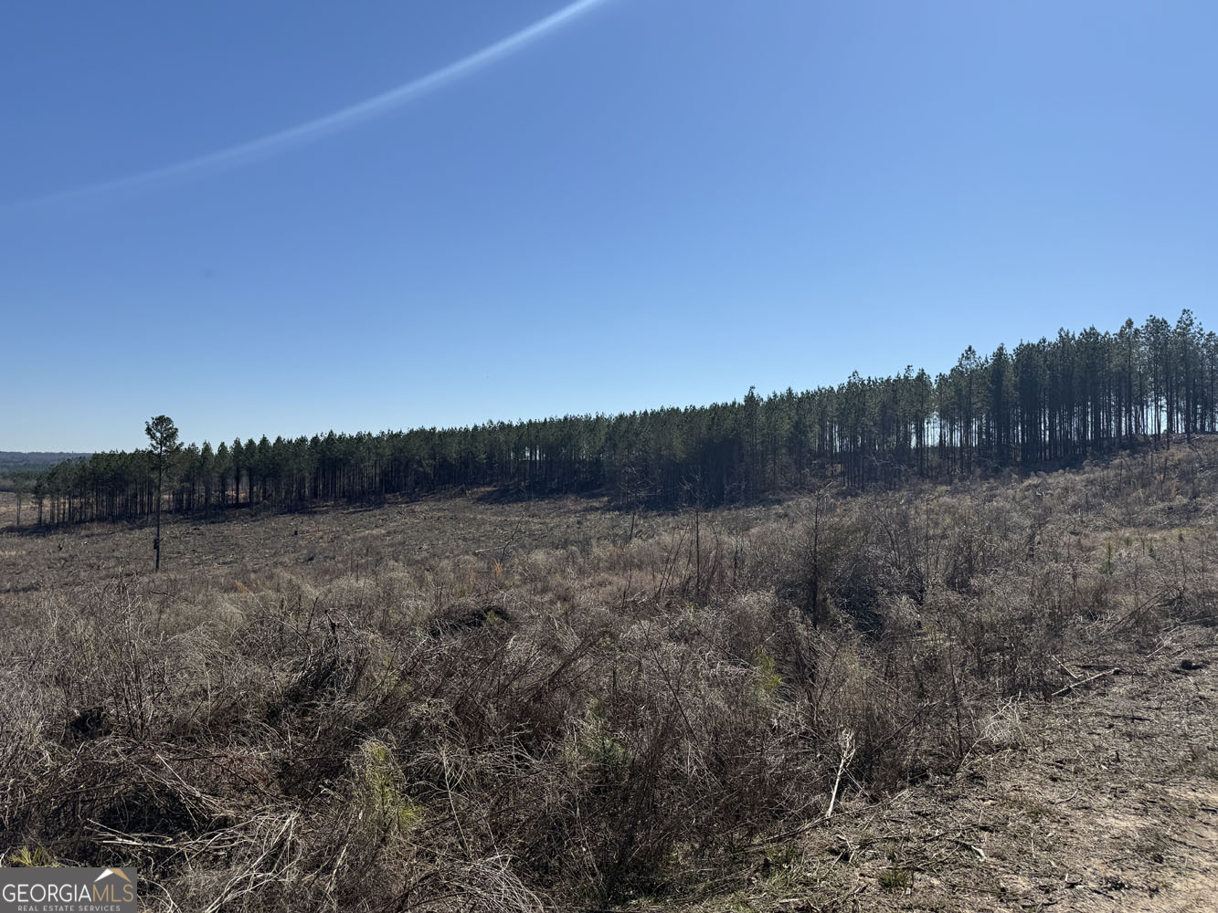 Truslow Central Durham Mill Road Jeffersonville, GA 31044 - Photo 33 of 49