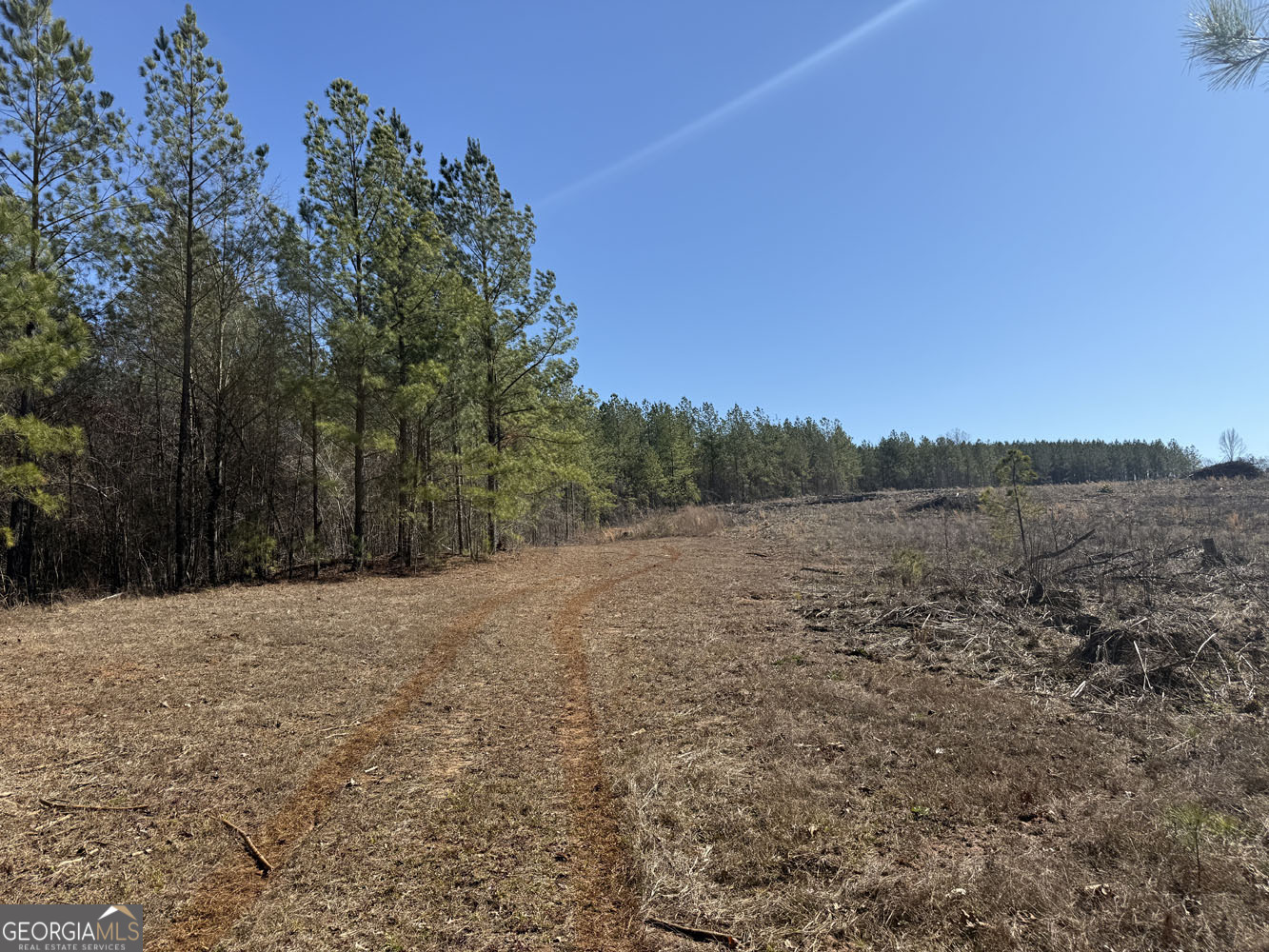 Truslow Central Durham Mill Road Jeffersonville, GA 31044 - Photo 34 of 49