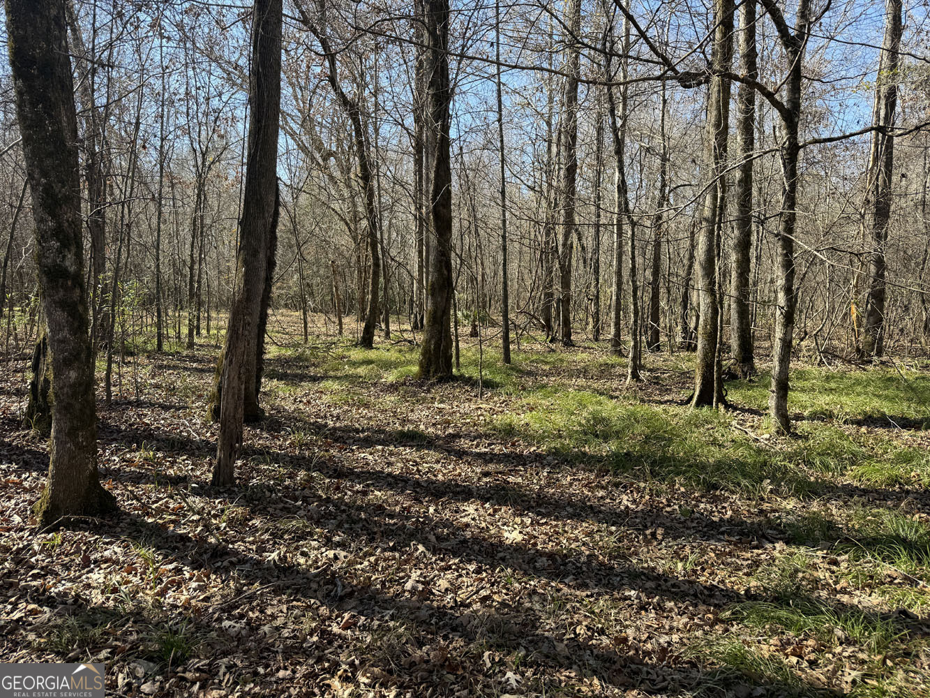 Truslow Central Durham Mill Road Jeffersonville, GA 31044 - Photo 36 of 49