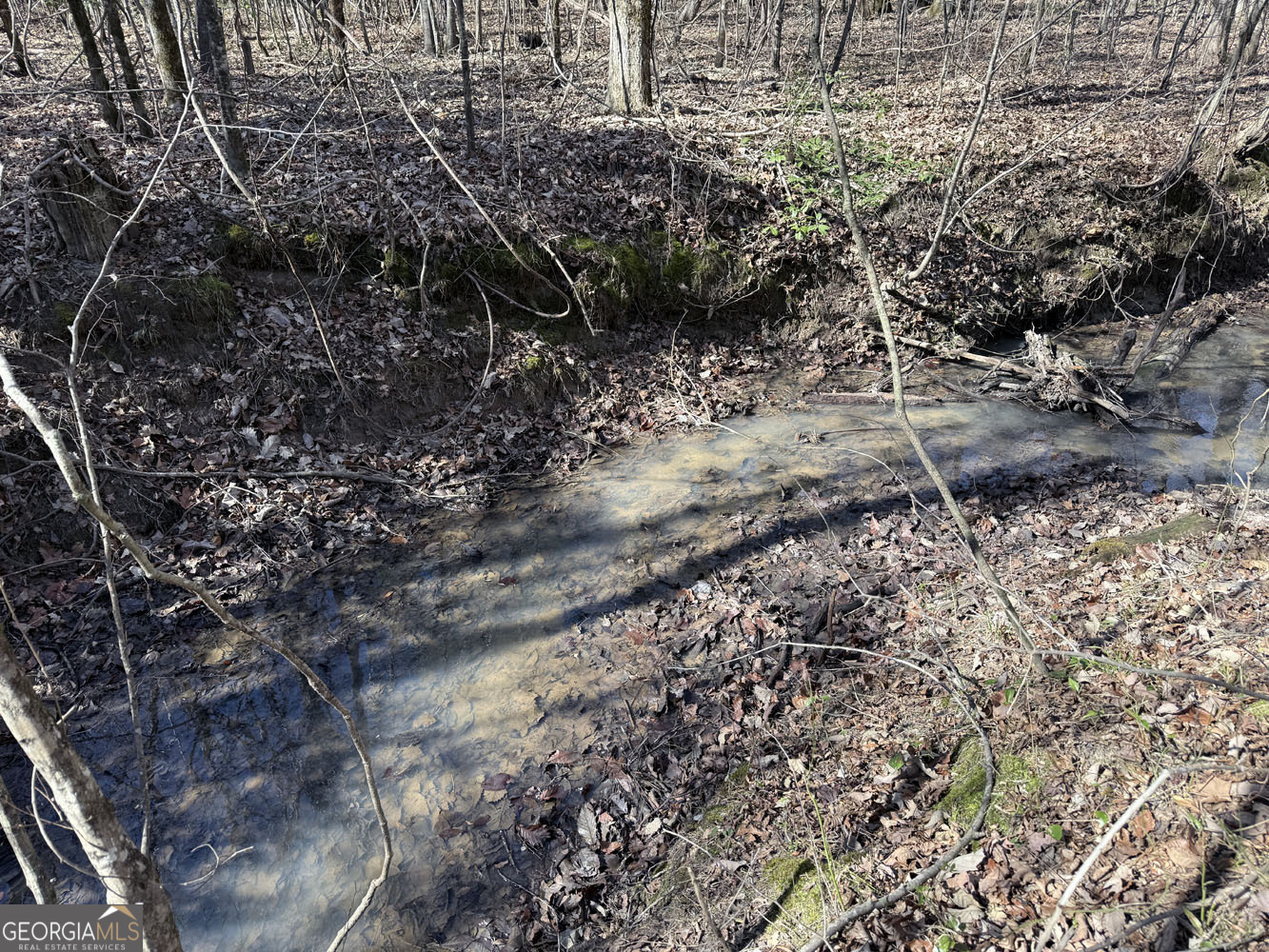 Truslow Central Durham Mill Road Jeffersonville, GA 31044 - Photo 37 of 49