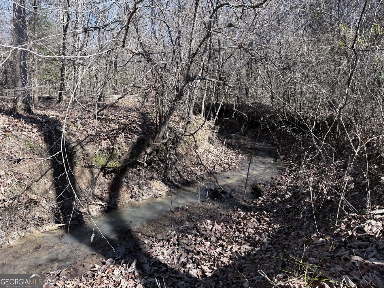 Truslow Central Durham Mill Road Jeffersonville, GA 31044 - Photo 38 of 49