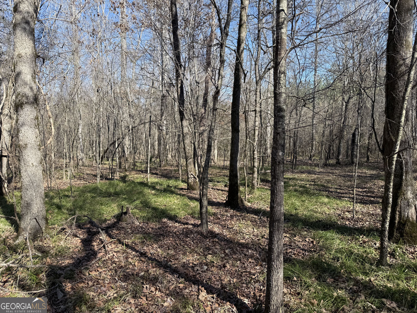 Truslow Central Durham Mill Road Jeffersonville, GA 31044 - Photo 39 of 49