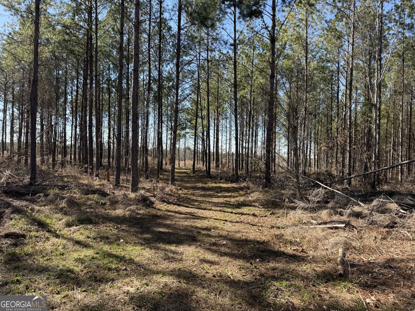 Truslow Central Durham Mill Road Jeffersonville, GA 31044 - Photo 40 of 49