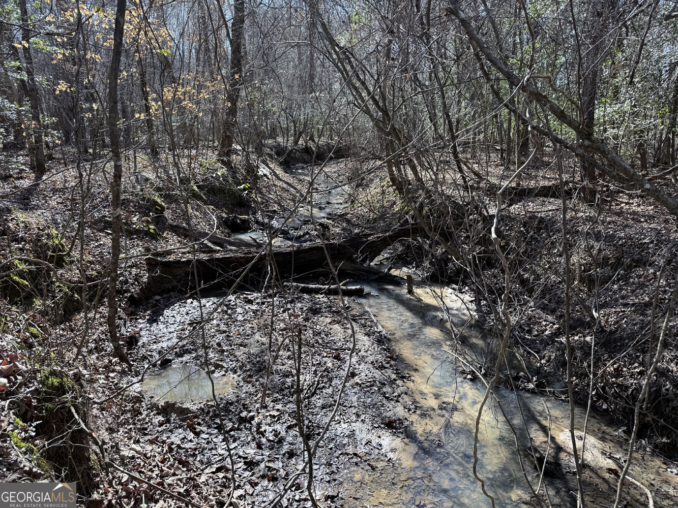 Truslow Central Durham Mill Road Jeffersonville, GA 31044 - Photo 4 of 49