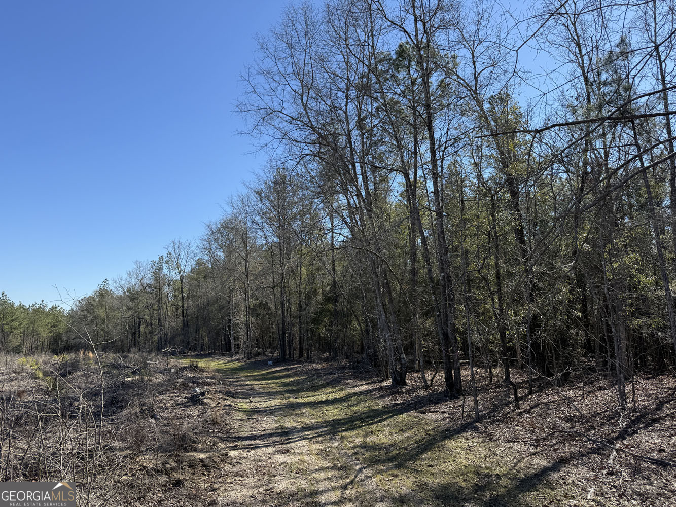 Truslow Central Durham Mill Road Jeffersonville, GA 31044 - Photo 43 of 49