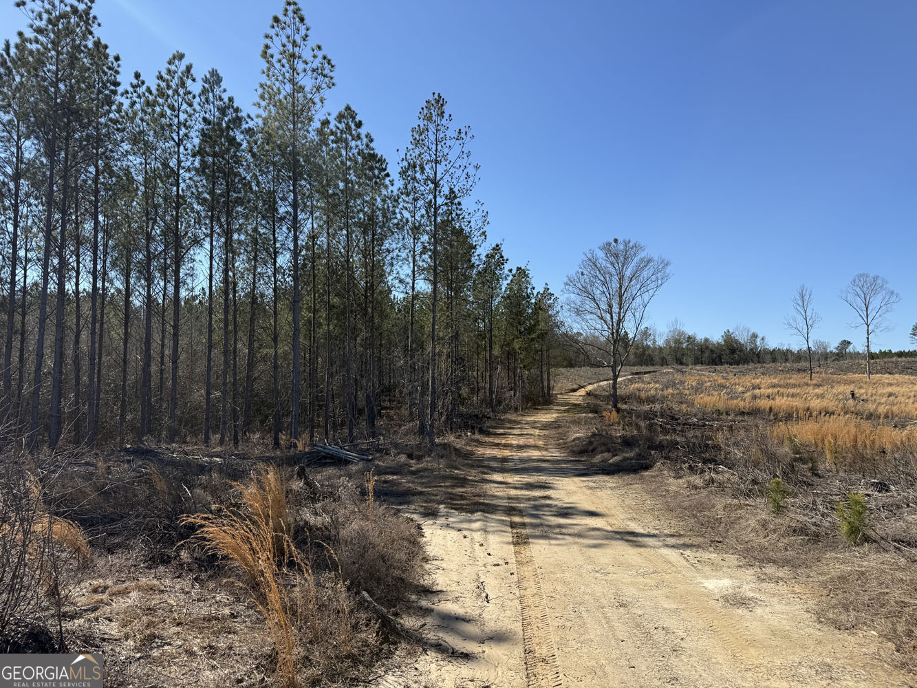 Truslow Central Durham Mill Road Jeffersonville, GA 31044 - Photo 44 of 49