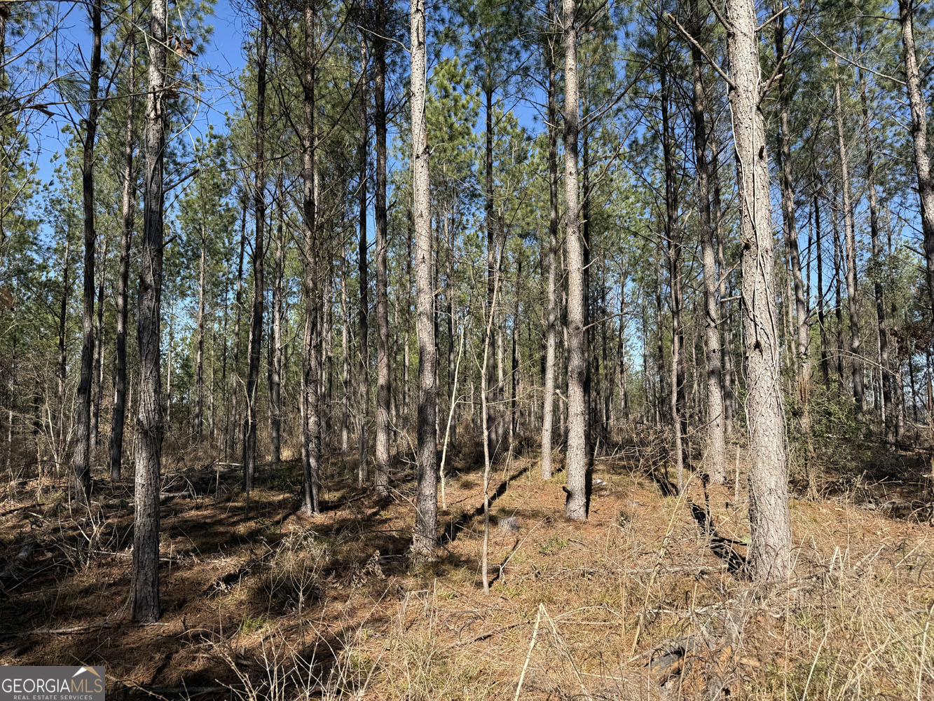 Truslow Central Durham Mill Road Jeffersonville, GA 31044 - Photo 46 of 49