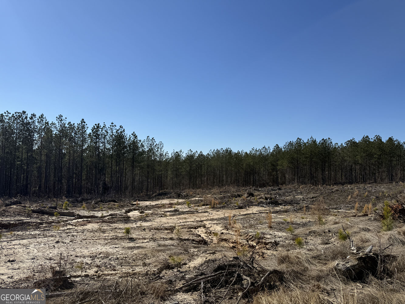 Truslow Central Durham Mill Road Jeffersonville, GA 31044 - Photo 47 of 49