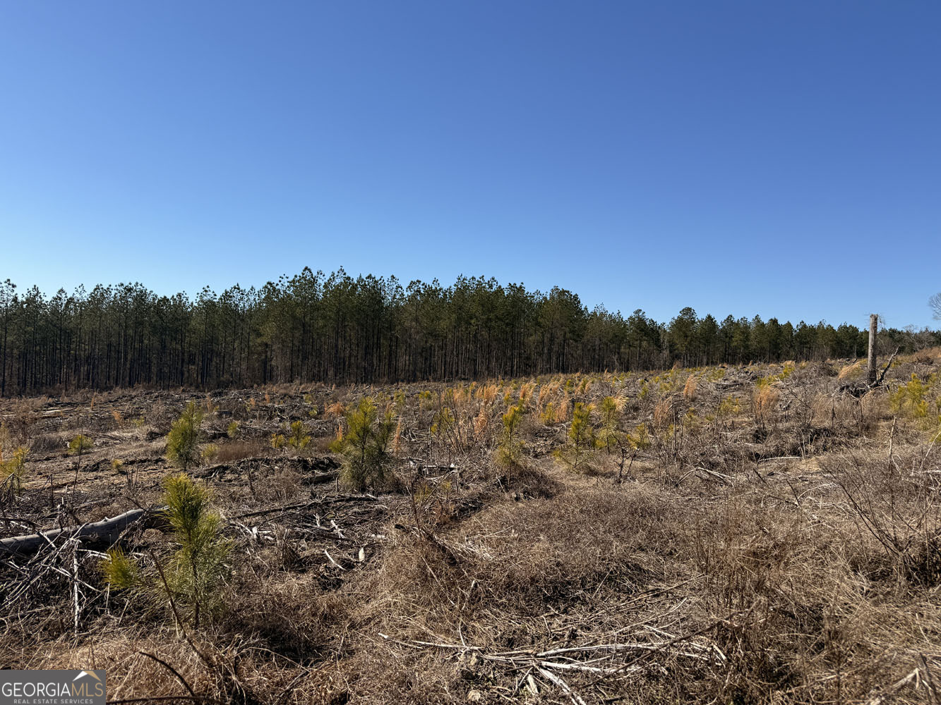 Truslow Central Durham Mill Road Jeffersonville, GA 31044 - Photo 48 of 49