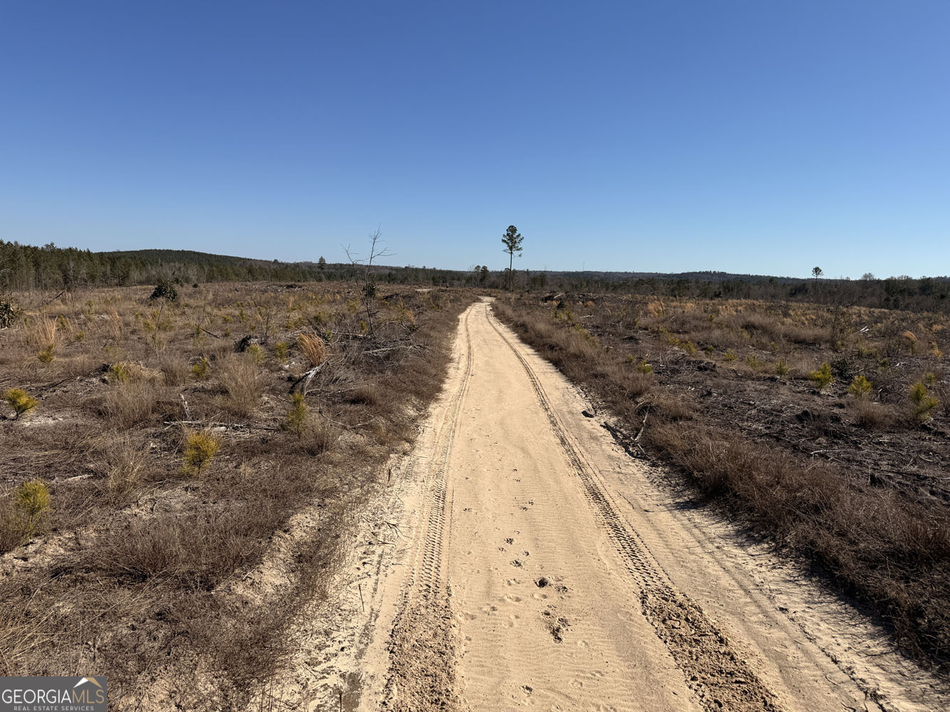 Truslow Central Durham Mill Road Jeffersonville, GA 31044 - Photo 49 of 49