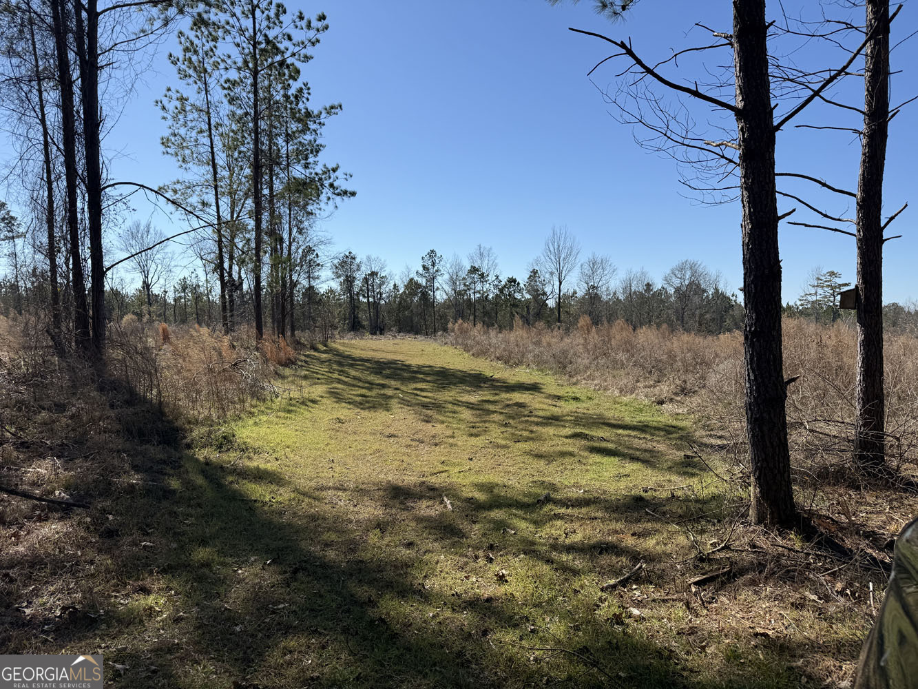 Truslow Central Durham Mill Road Jeffersonville, GA 31044 - Photo 5 of 49