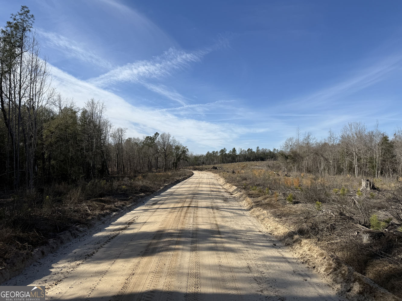 Truslow Central Durham Mill Road Jeffersonville, GA 31044 - Photo 6 of 49