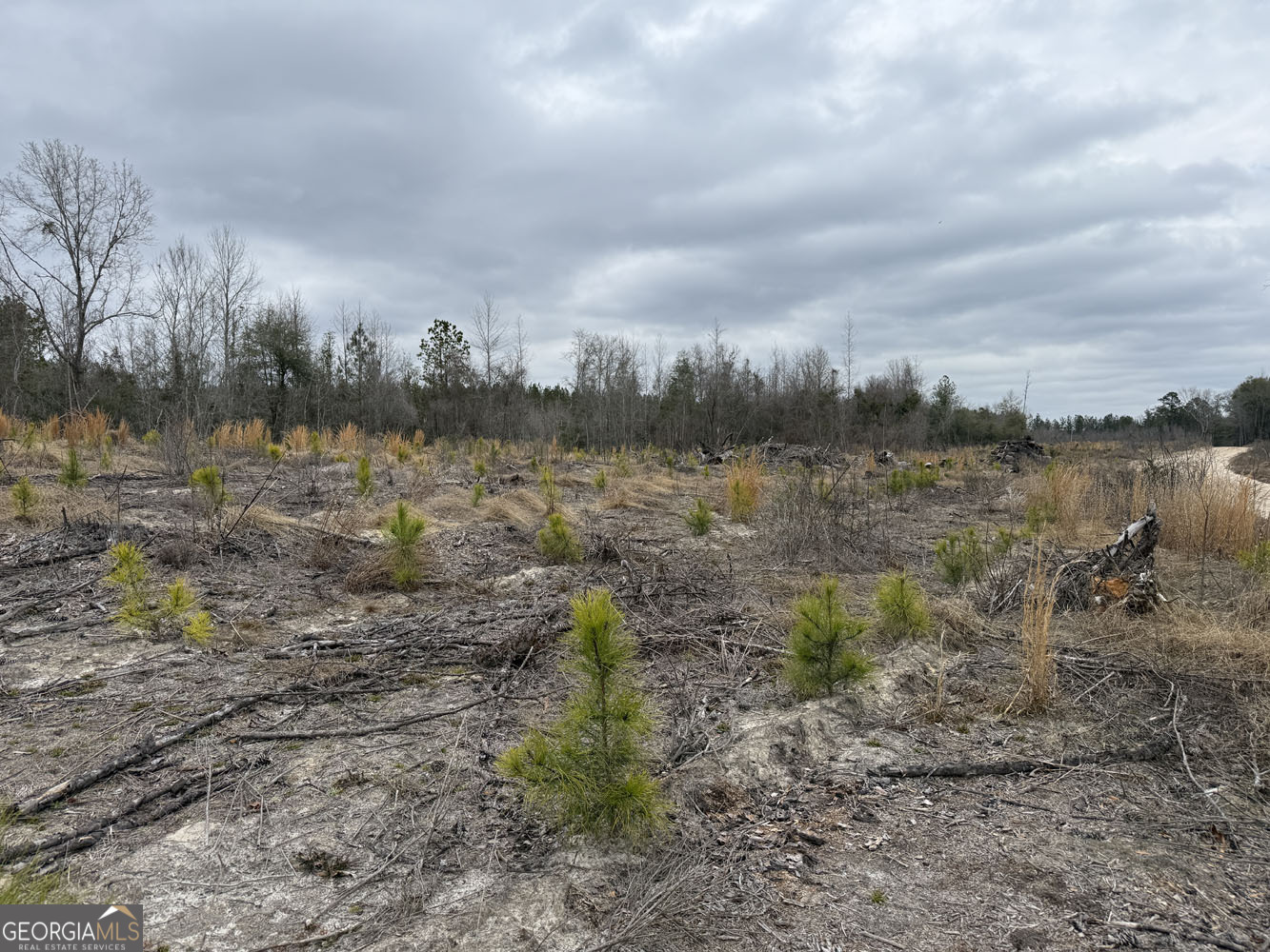 Truslow Central Durham Mill Road Jeffersonville, GA 31044 - Photo 7 of 49