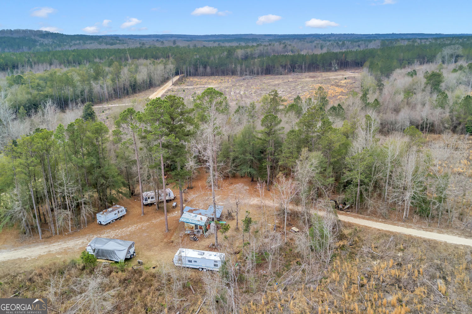 Truslow Central Durham Mill Road Jeffersonville, GA 31044 - Photo 8 of 49