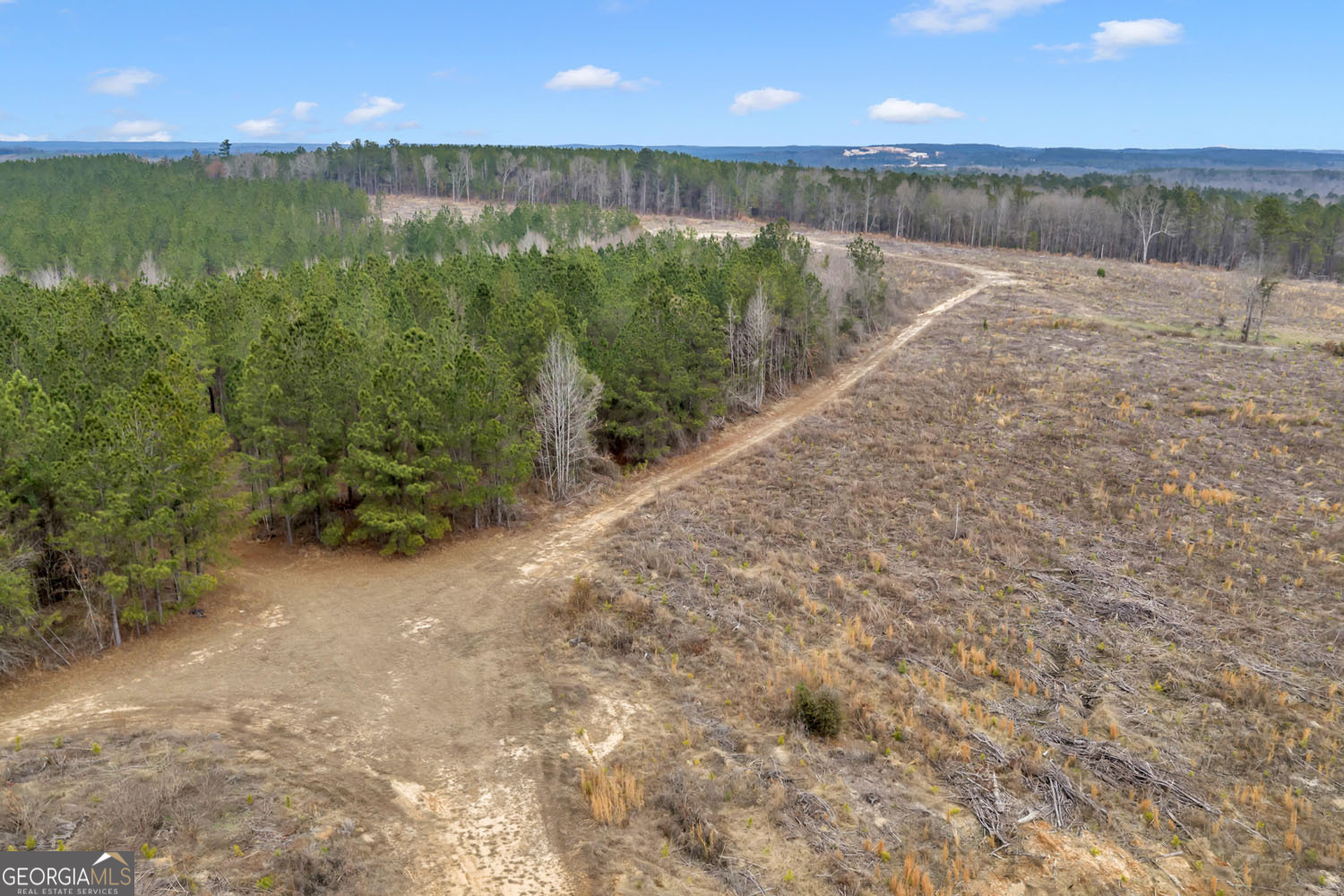 Truslow Central Durham Mill Road Jeffersonville, GA 31044 - Photo 9 of 49