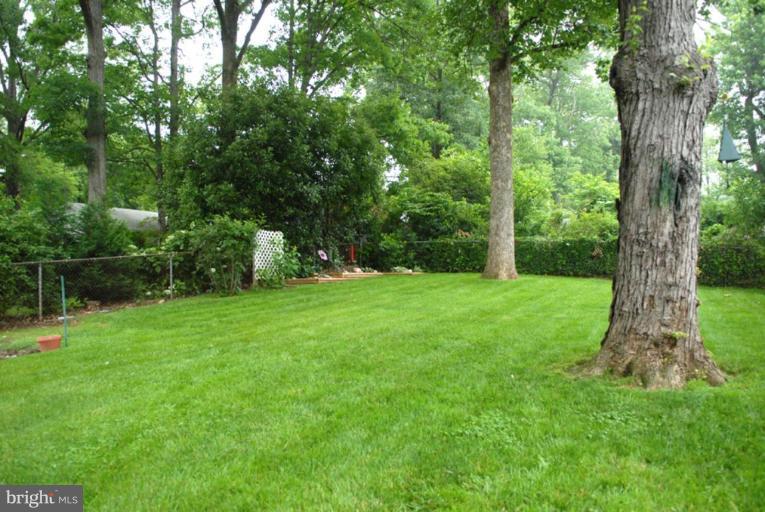 5507 Moultrie Road Springfield, VA 22151 - Photo 10 of 30 Level Backyard