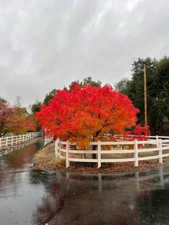 $745,000 | 10740 Swede Creek Road, Palo Cedro, CA 96073