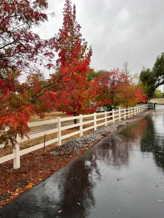 $745,000 | 10740 Swede Creek Road, Palo Cedro, CA 96073