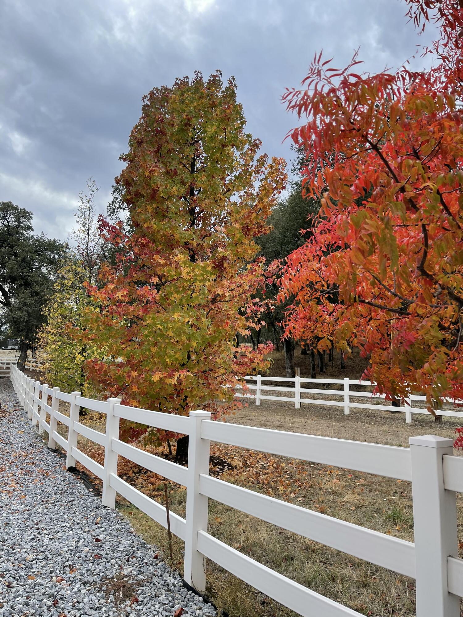 10740 Swede Creek Road Palo Cedro, CA 96073 - Photo 48 of 71 IMG_1666