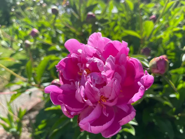 $745,000 | 10740 Swede Creek Road, Palo Cedro, CA 96073