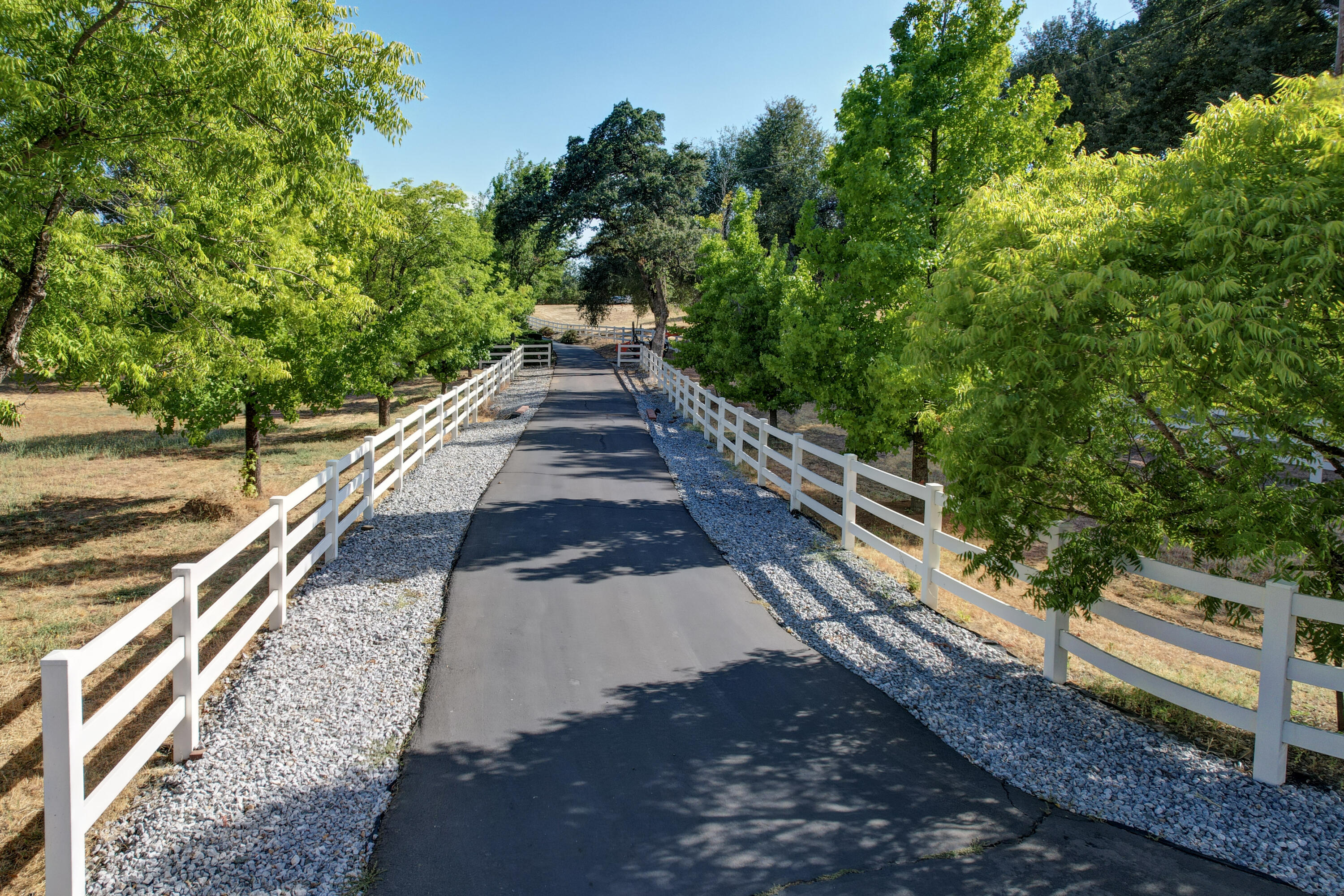 10740 Swede Creek Road Palo Cedro, CA 96073 - Photo 5 of 71 Paved Drive