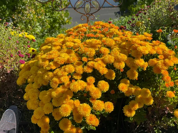 $745,000 | 10740 Swede Creek Road, Palo Cedro, CA 96073