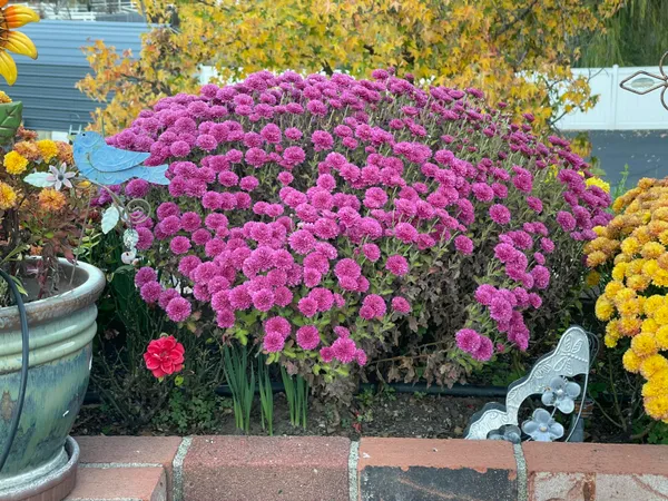 $745,000 | 10740 Swede Creek Road, Palo Cedro, CA 96073