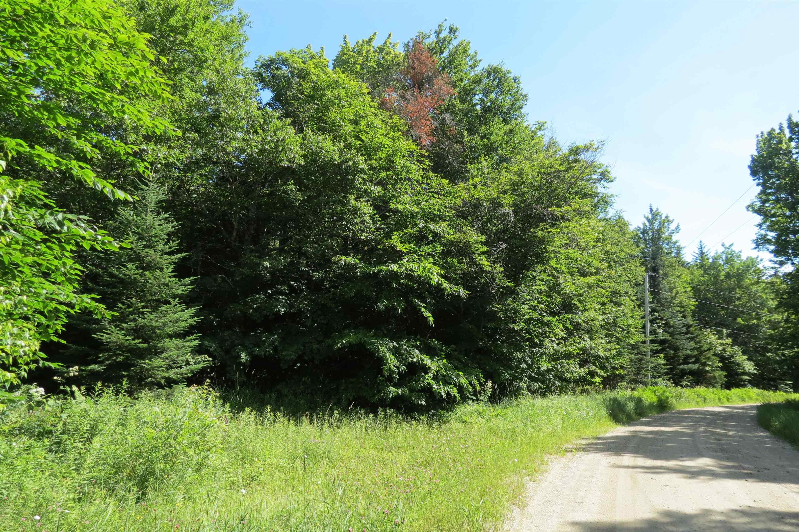 0 Old Weston Mountain Road Ludlow, VT 05149 - Photo 2 of 4