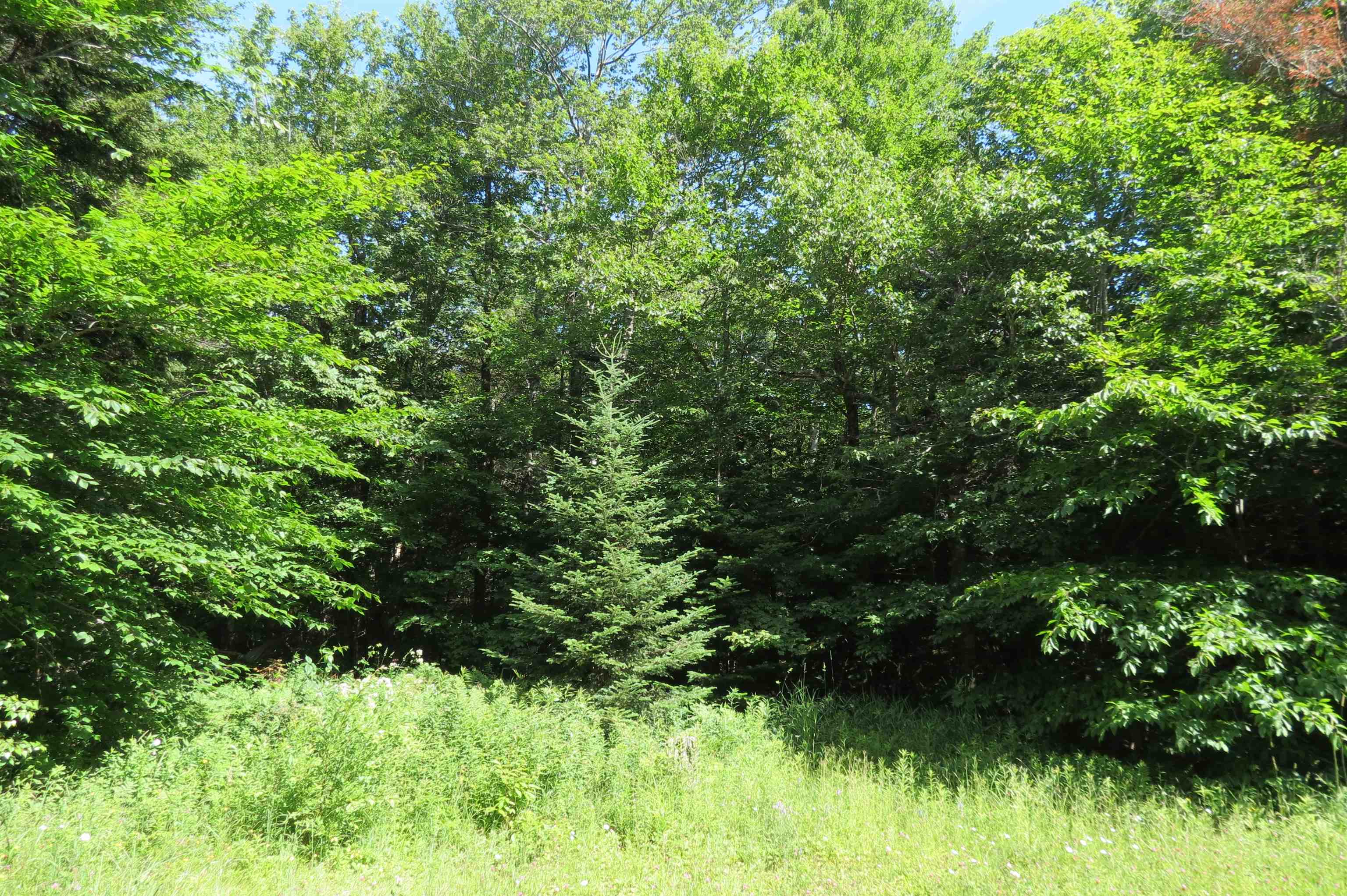 0 Old Weston Mountain Road Ludlow, VT 05149 - Photo 3 of 4