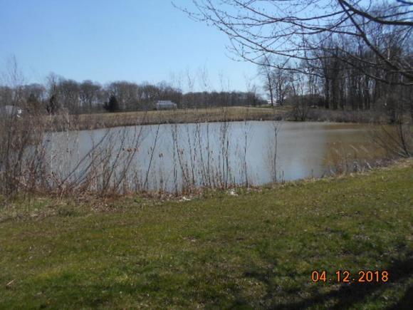 17017 County Line Road Sunman, IN 47041 - Photo 5 of 17